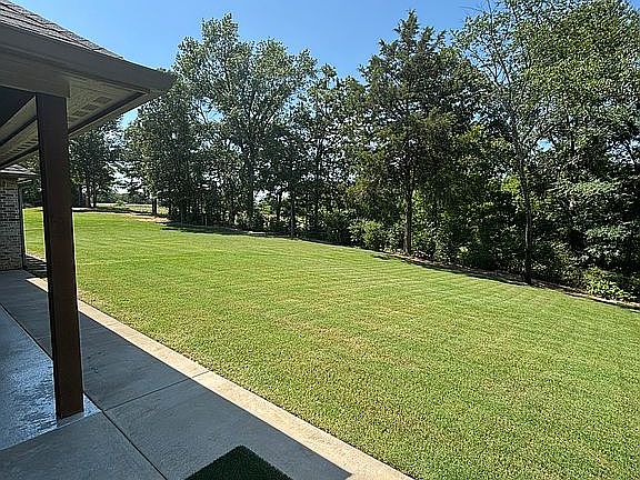 View from back patio