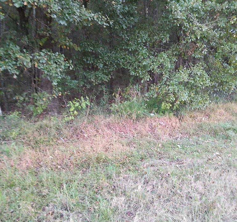 1st image of 0 E Oglethorpe Hwy
