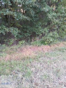 0 E Oglethorpe Hwy, Hinesville, GA, 31313