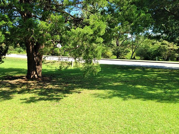 View of front yard, looking towards road