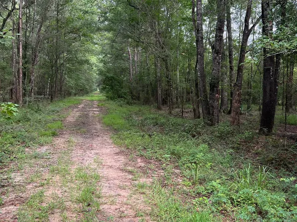 Sturgis Mill Rd, Hemphill, TX 75948