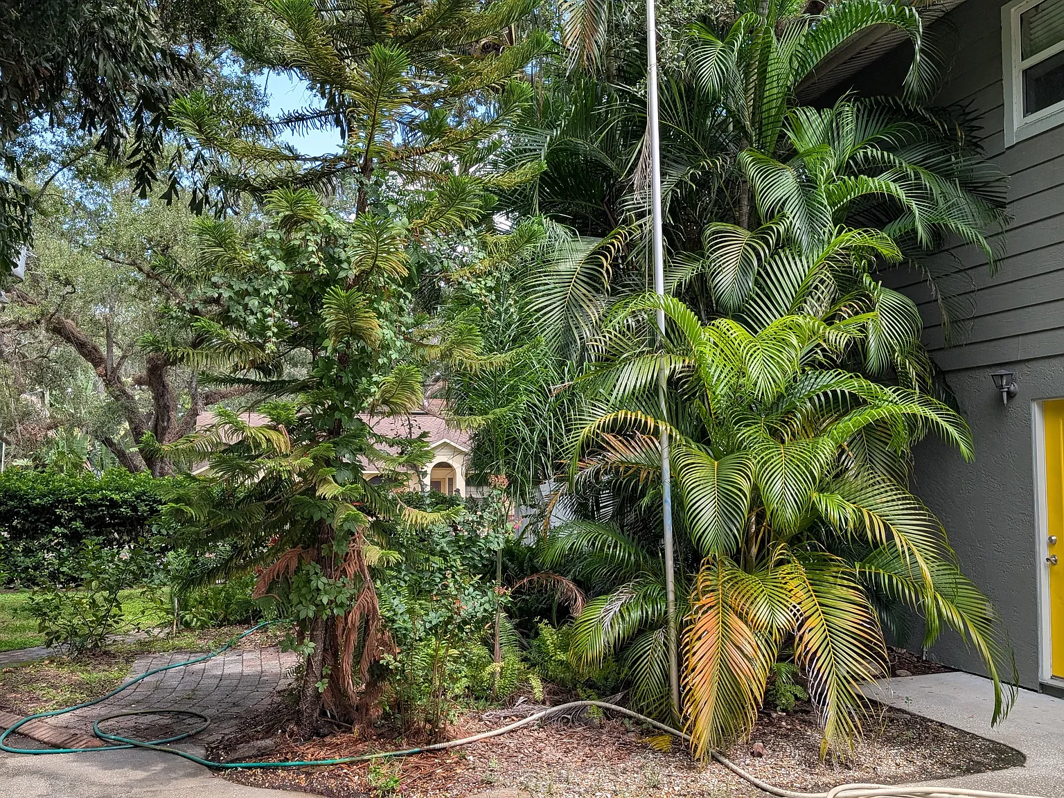 2 bed, $1,800 — Photo 2