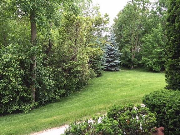 Great view of lush lanscape