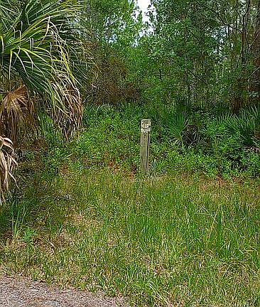 4th image of 7799 W Katherine Ln