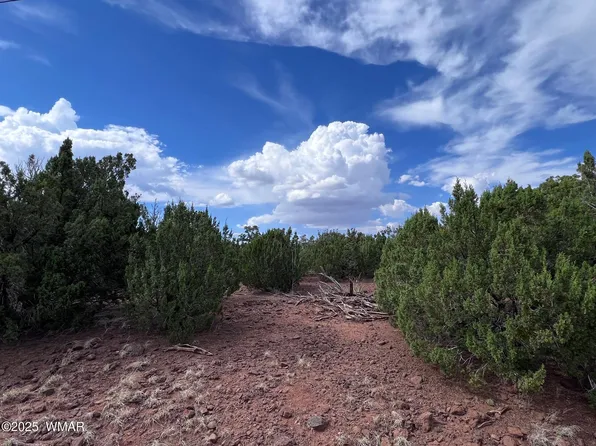 0 Antelope Trl, Show Low, AZ 85901