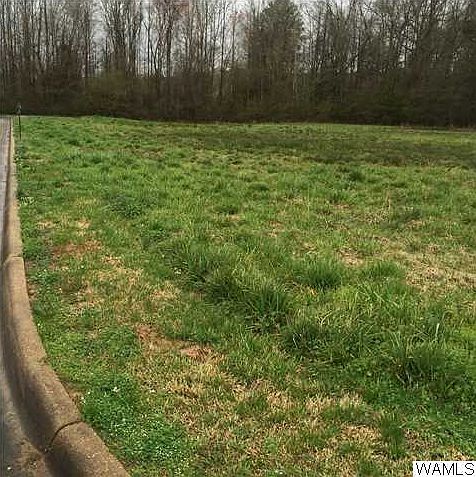2nd image of 0 Manor Cir