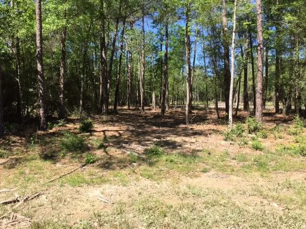 7699 Park Rd, Lumberton, TX 77657