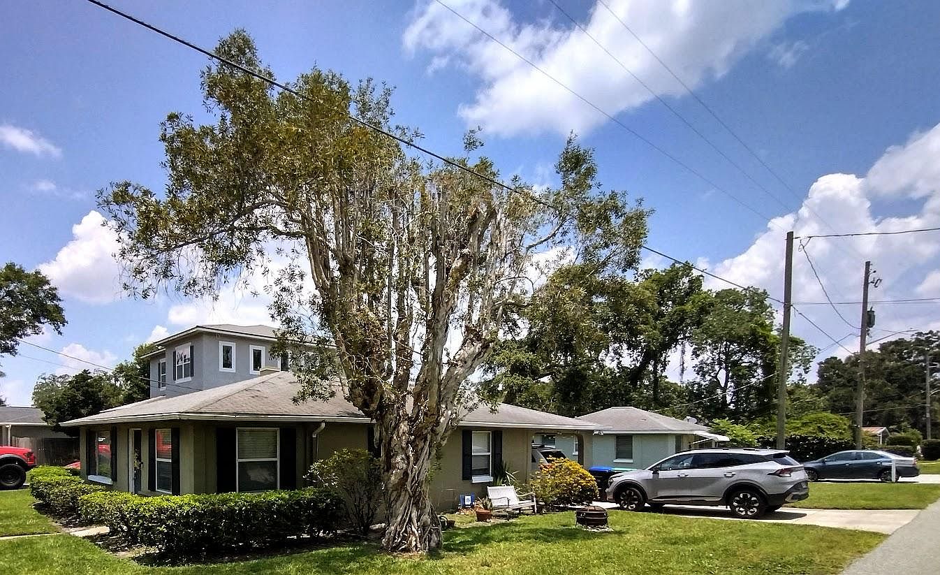 1101 ster Ave, Orlando, FL 32804 Zillow