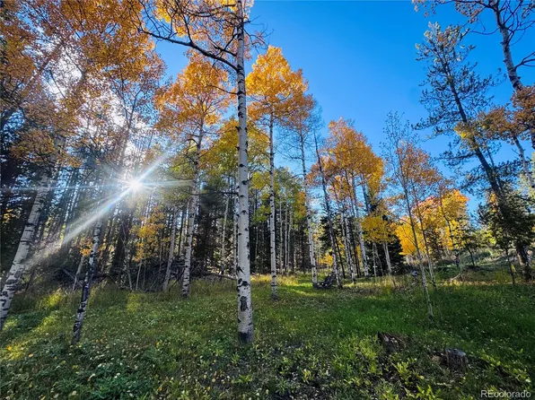 Lot 216620 Indian Springs Road, Conifer, CO 80433