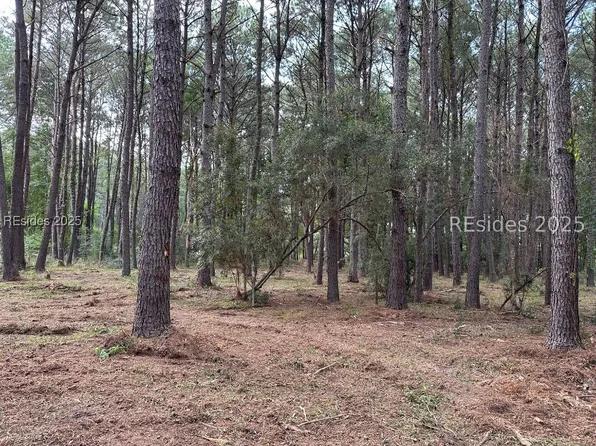 464 Paige Point Blf, Seabrook, SC 29940