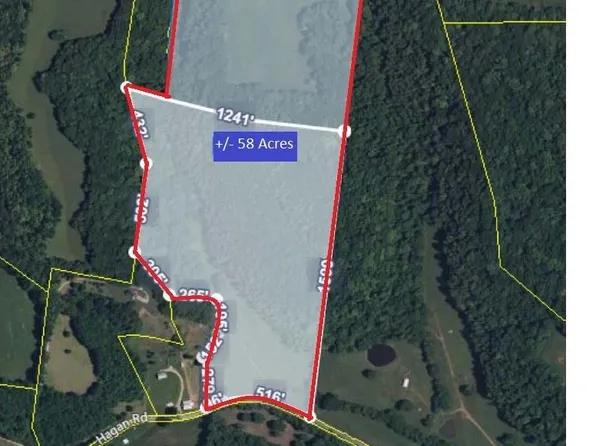 Hagan Rd, Prospect, TN 38477