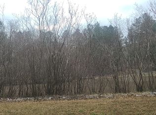 1931 Braswell Mountain Rd, Dallas, GA 30132