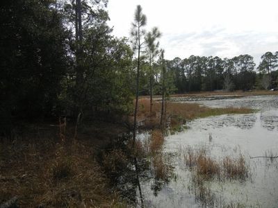 Lakeview Boulevard Lot #600, Paisley, FL, 32767