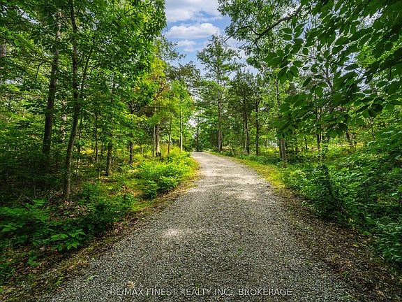 2nd image of 169 Old River Rd