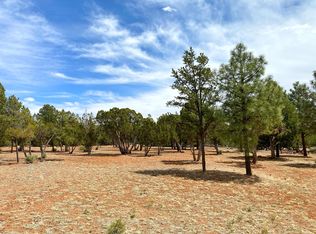 2787 Chandelle Ln, Overgaard, AZ 85933