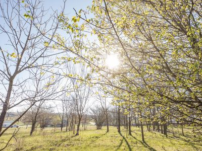 13949 W Hayfield Lane, Billings, MO, 65610