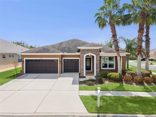 31518 Bearded Oak Dr, Wesley Chapel, FL 33543