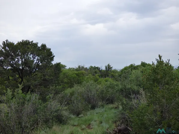 Collier Ave, Raton, NM 87740