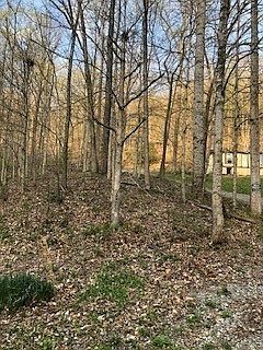 5th image of 184 Cove St