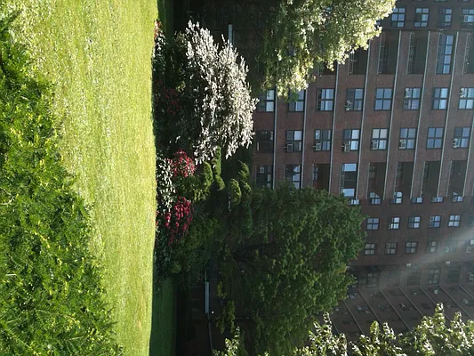 Sold by Corcoran | media 16