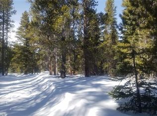 1860 Kootchie Kootchie Rd, Alma, CO 80420