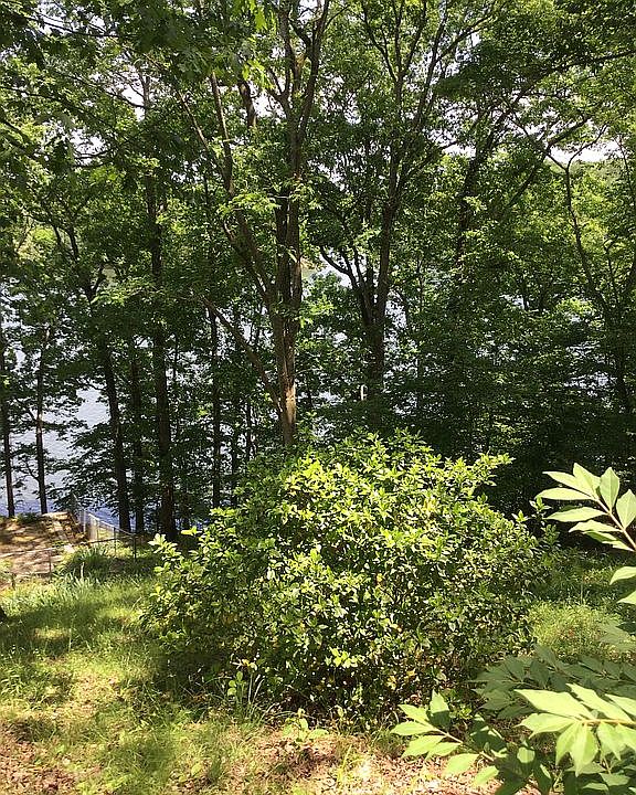 1st image of 114 B Oyster Bay Overlook