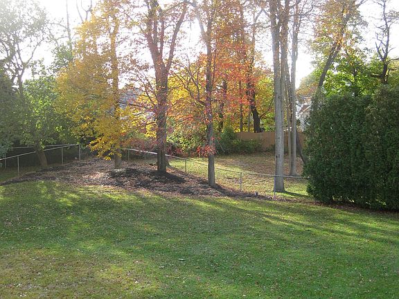 From Deck to Backyard