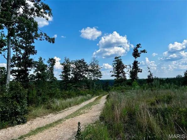 6 County Road 342, Centerville, MO 63633