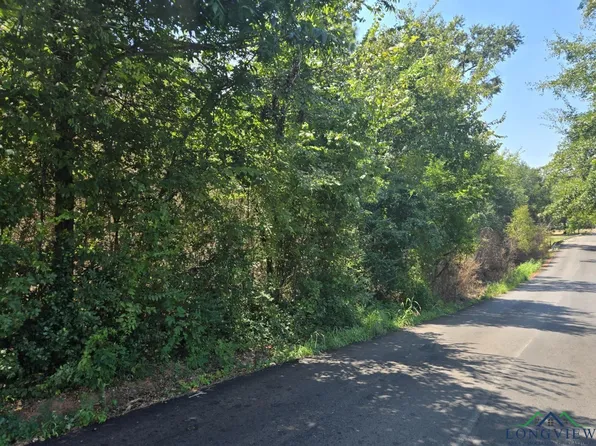 Martin Luther King Jr Dr, Henderson, TX 75652