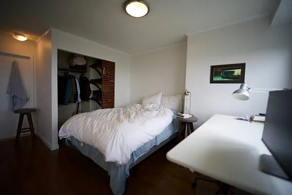 Studio, 1.0 bath, 605 sqft, $3,000 — Photo 4