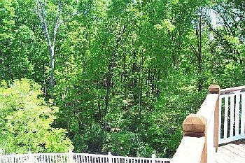 2nd image of 534 Westonridge Ct