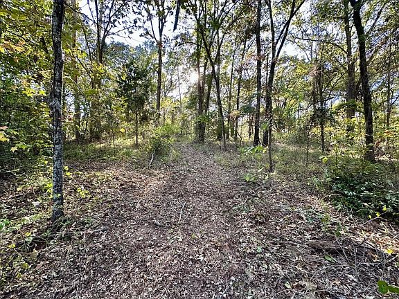 2nd image of N/a County Rd Lot 59-2938