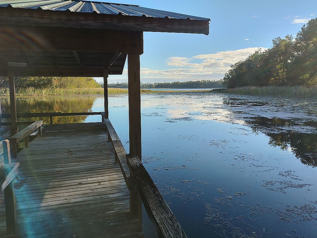 2280 Cove Dr, Donalsonville, GA 39845 Zillow