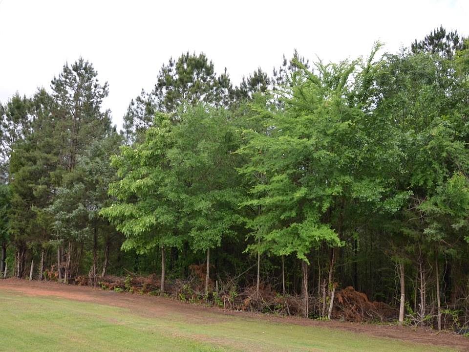 2nd image of 561 Timberlake Rd