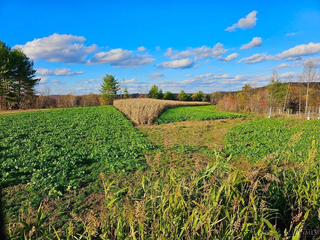 Real estate listing image