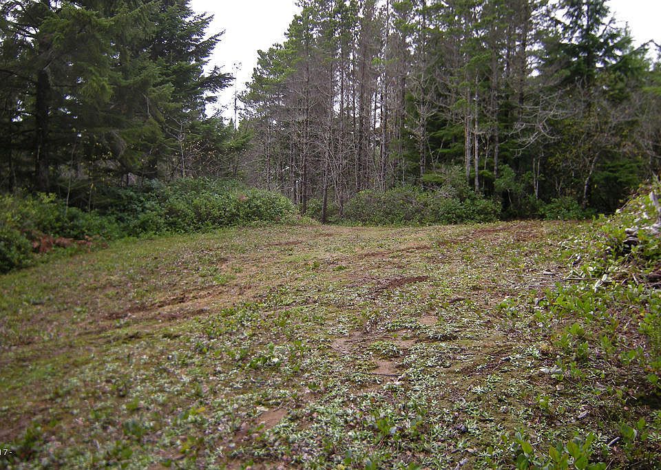 1st image of 536 Se #130th