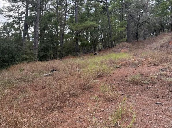 LOT 69 And 70 Taro Ct, Bastrop, TX 78602