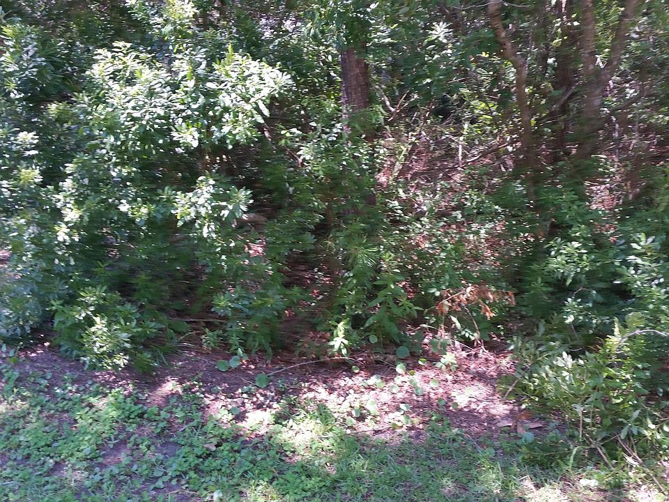 1st image of L-20 NW 21st Street