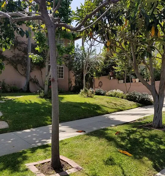 1745 Midvale Ave — Photo 5