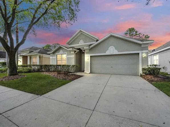 18108 Hamden Park Way, Tampa, FL 33647