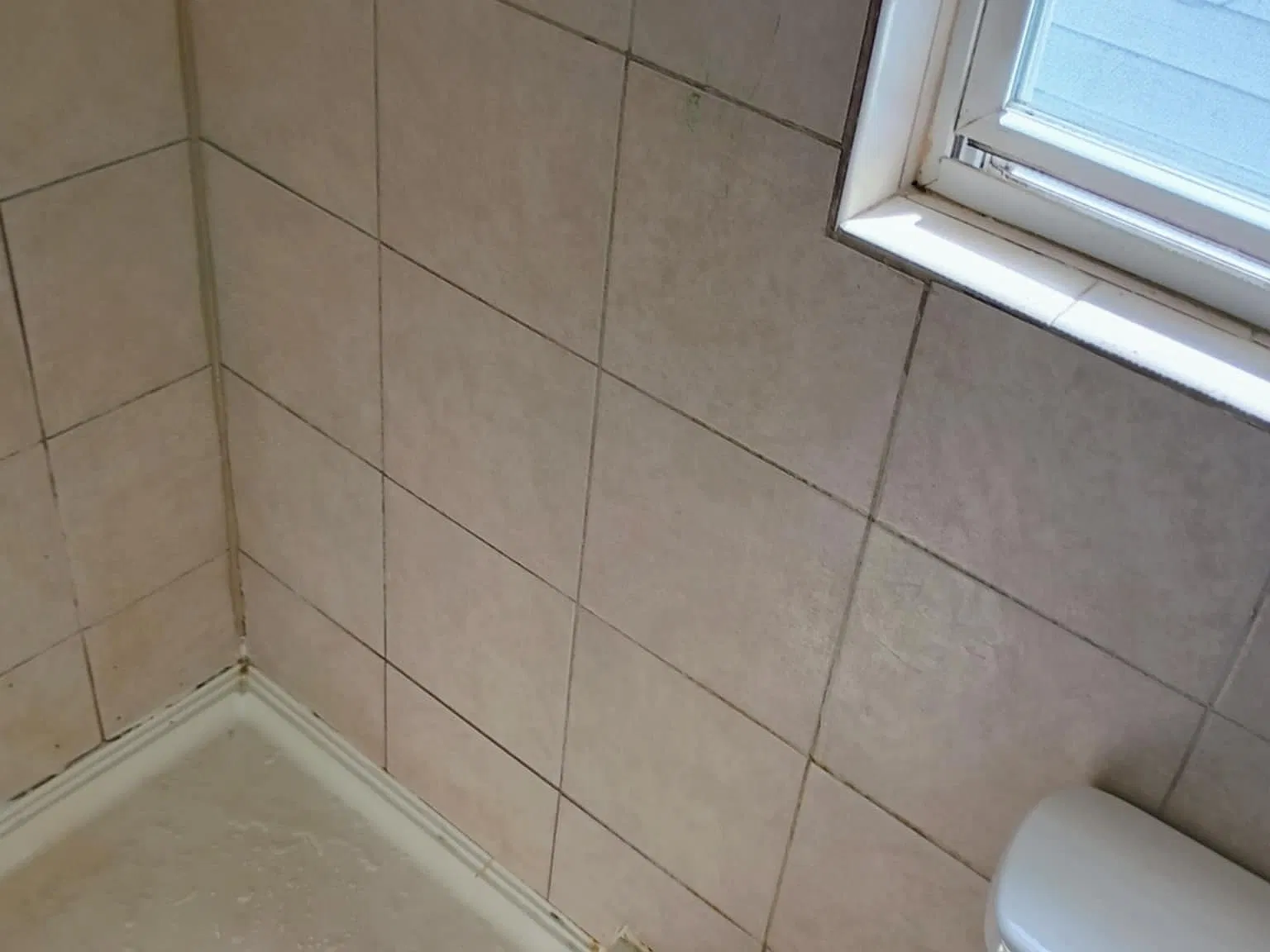 2 bed, 800 sqft, $1,095 — Photo 2