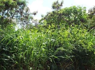 Pua St LOT 10, Naalehu, HI 96772