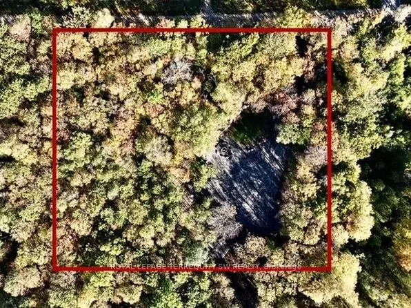 1394 Bartlett Lake Rd, Ryerson, ON P0A 1C0