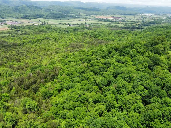 Theo Hixon Rd, Rutledge, TN 37861