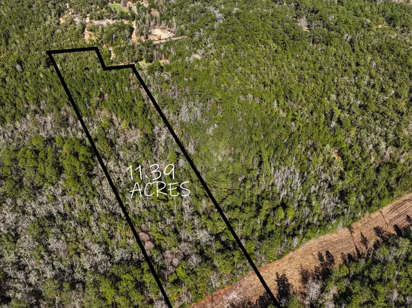 Moccasin Forks Rd, Ponce De Leon, FL 32455