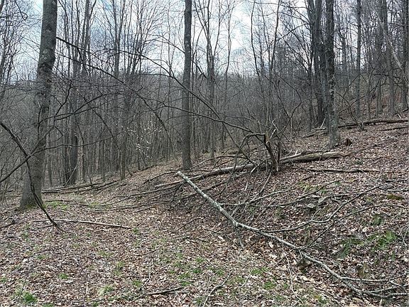 5th image of 0 Philson Rd
