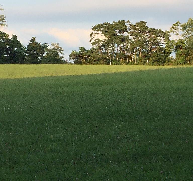 1st image of 1061 Cook Rd