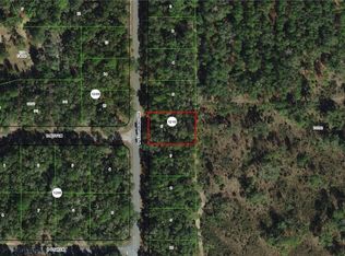 8145 N Yellowbird Ave, Citrus Springs, FL 34434