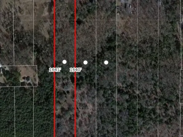 539 Vz County Road 4409, Ben Wheeler, TX 75754