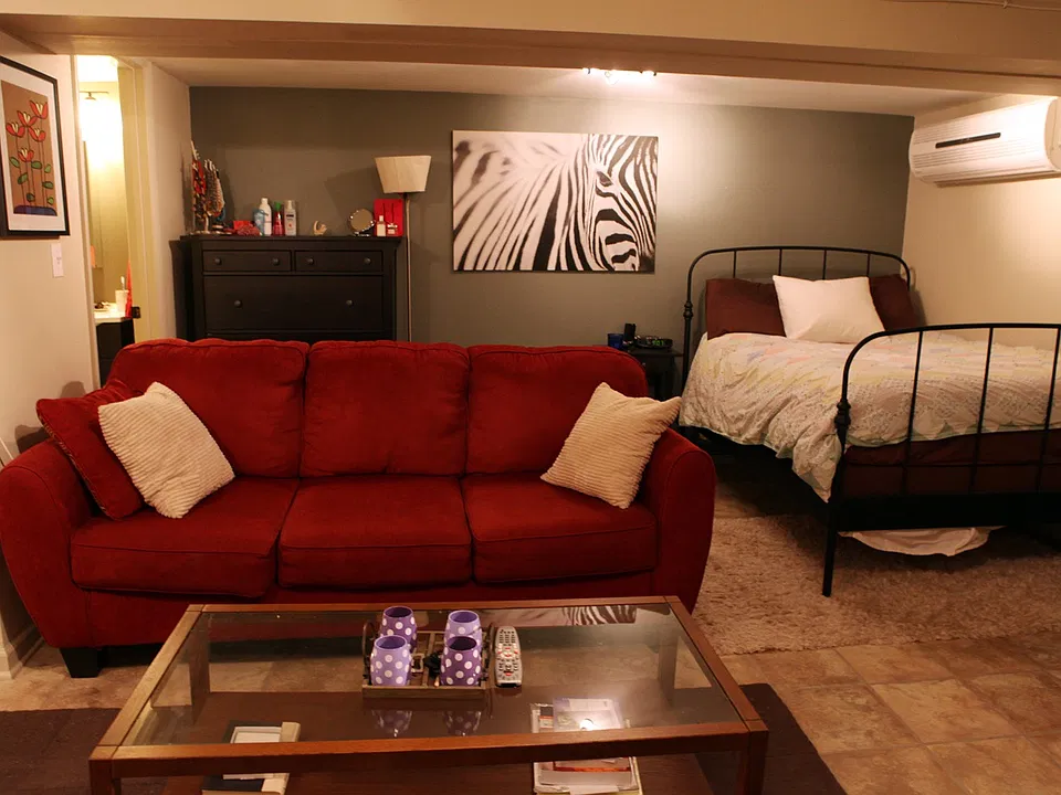 Bedroom / Living Room